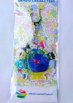 トゥンクトゥンク サンリオ コラボ アクリルキーホルダー EXPO2027