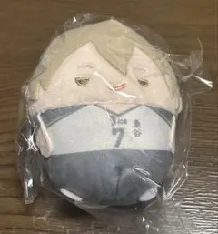 ハイキュー!! 木葉秋紀 ぬいくじ D賞