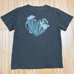 新品タグ付　Tシャツ 140 シナモロール　シナモン　半袖　女の子　匿名
