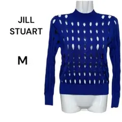 Item thumbnail for item 704404d8-3b3b-47f1-99e0-d3ab08521538