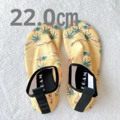 ✨ 22.0㎝アロハ風マリンシューズ ウォーターシューズ 滑り止め　水陸両用