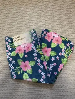 Item thumbnail for item 177ea164-7612-480f-bfe0-8d044d9e924a