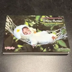 Blythe Postcard Book フォトアクション 32枚綴り
