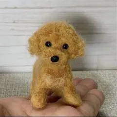 羊毛フェルト　トイプードル　レッドのサムネイル