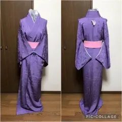 しつけ付き!!一つ紋 花唐草地紋 色無地