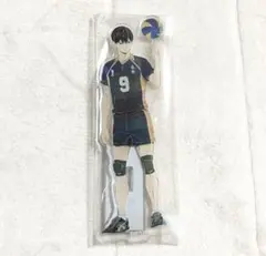 ハイキュー ani art アクリルスタンド 影山飛雄