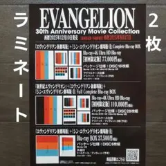 アニメ　エヴァンゲリオン　30周年　ラミネート+　チラシ　フライヤー　２枚