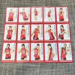 デンソーエアリービーズ FC限定カード 15枚セット