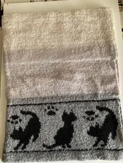 Item thumbnail for item 21bfc51d-9775-4889-abeb-54130761d353