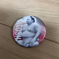 日翔志　缶バッジ　相撲