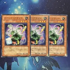 パペットプラント STON ノーマル