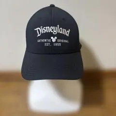 ディズニー キャップ