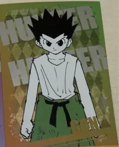 HUNTER×HUNTER ポストカードコレクション