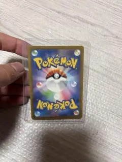 K*#様 メガリザードンとインフルエンサーの紹介とピカチュウ