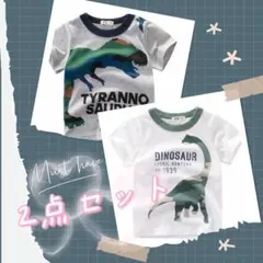 白恐竜 灰色恐竜 子供服男の子半袖普段着100サイズ 2枚セットげいcb