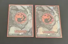 MTG Secret Lair Mana Symbiote 山　2枚セット