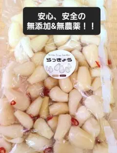 手作り カリカリ らっきょう 甘酢漬けのサムネイル