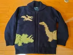 klädskaap 恐竜ニットジャケット