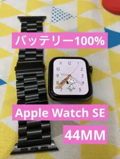 最大容量 100 Apple Watch SE 44MM