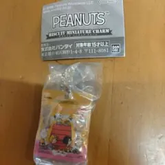 PEANUTS ビスケットミニチュアチャーム スタンドパック　メイプル