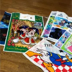 ディズニーランド袋 7枚 ストア1枚 計8枚