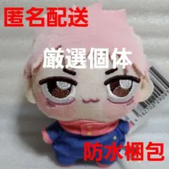 2025年最新】ちょぴぬい 虎杖悠仁の人気アイテム - メルカリ