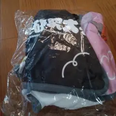 女子研究大学　ブランケット