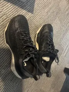 nike invincible run 3 サイズ24