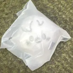 SKZOO FACE KEYRING SILVER Verポガリ BbokAri