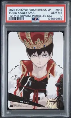 PSA10】シリアル200番❗️ハイキュー!! バボカ! 日向翔陽 サイン 極