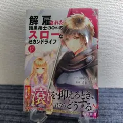 解雇された暗黒兵士(30代)のスローなセカンドライフ(17)