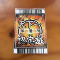 ドラゴンボールZデータカードダス爆裂インパクト 天下一認定証②