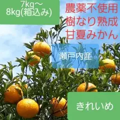 瀬戸内の農薬不使用 甘夏みかん きれいめ ② 7kg〜8kg箱入り