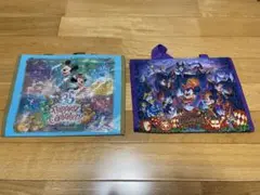 東京ディズニーリゾート　ビニールバッグ