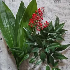 プロフィール必読さま専用