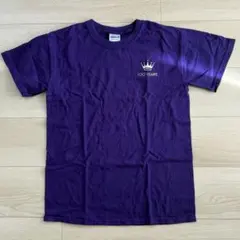 GILDAN パープル Tシャツ S 100YEARS ワンポイント シンプル