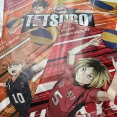 ハイキュー　非売品　クリアファイル　まとめ売り