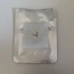 SEVENTEEN MINITEEN HOLIDAY ラキドロ ウジ