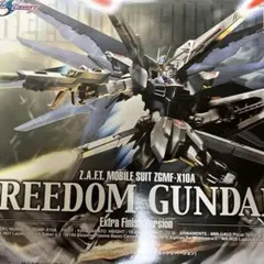 MG 1/100 フリーダムガンダム エクストラフィニッシュVer. G28 - メルカリ