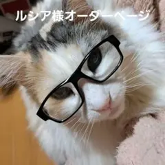 ルシア様専用、オーダーメイドページ、お一人様限定