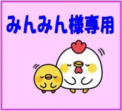 みんみん様専用