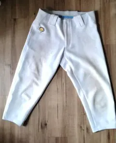 Item thumbnail for item 1c7fb9c3-dd82-468a-a79f-65ecdadafba7