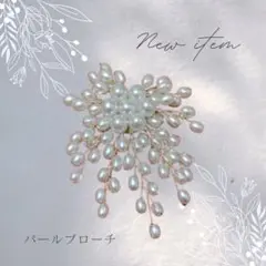 Item thumbnail for item 146f952b-d5cc-4201-a3d5-7cccb04e42f0