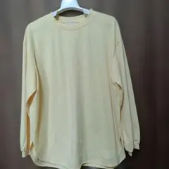 Item thumbnail for item 785d7857-4df2-4860-a60e-68a5b3df1456