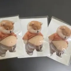 【訳あり】柴犬 お腹 ぷにぷにシール3枚セット