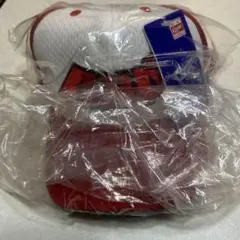 Item thumbnail for item 031d5c72-807a-4c78-b5ee-8be0f48f9ac6