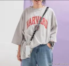 Item thumbnail for item 1d30521f-a8e7-4e31-a8b9-46c675757b61