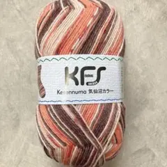 koko様 リクエスト 2点 まとめ商品