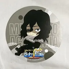 東京スカイツリー コースター 相澤