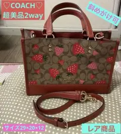 2026年最新】coach ブラウン ストロベリーの人気アイテム - メルカリ